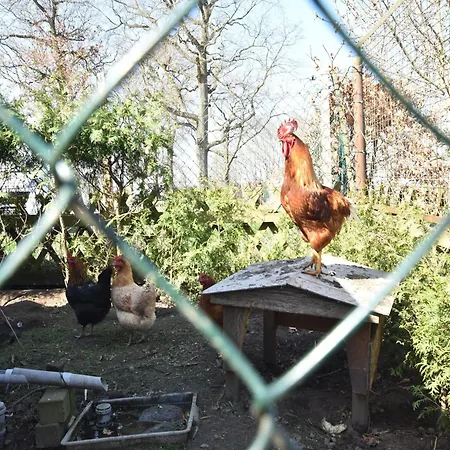 Cozy In With Sea Near