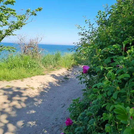 Cozy In With Sea Near *