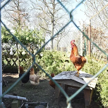 Apartment Cozy In With Sea Near *