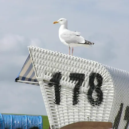Cozy In With Sea Near Apartment