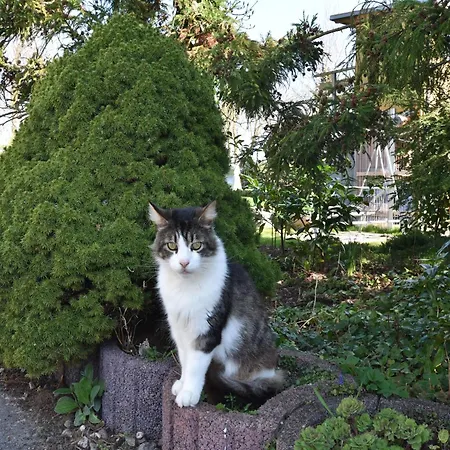Cozy In With Sea Near Apartment *