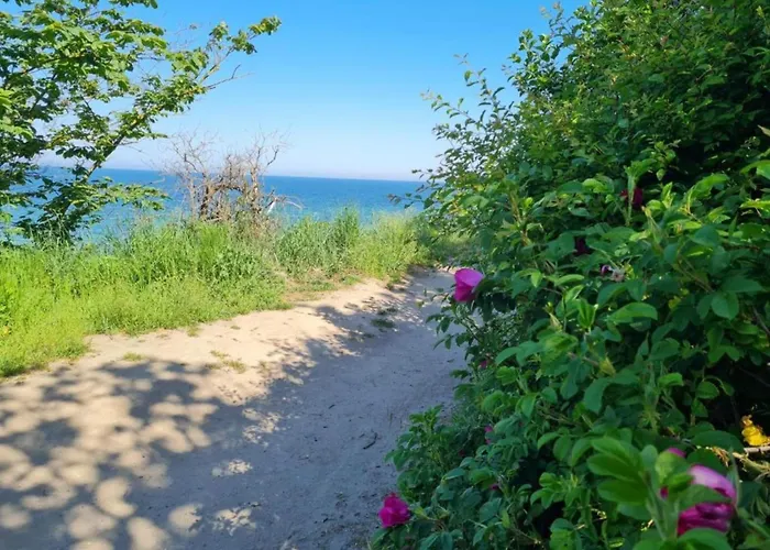 Cozy In With Sea Near *